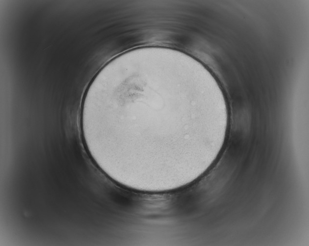 X0000089851338200706281244