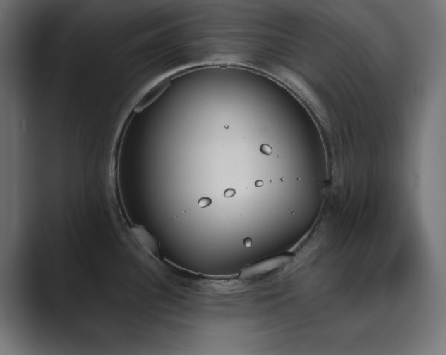 X0000089851340200706281244