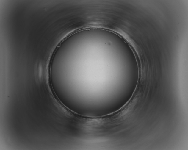 X0000089851341200706281244