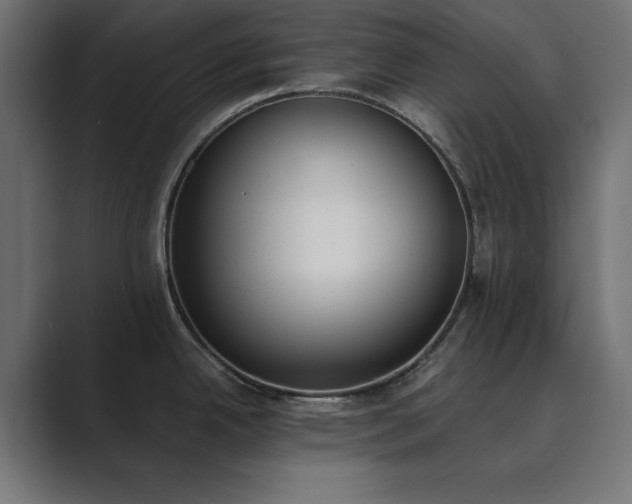 X0000089851342200706281244