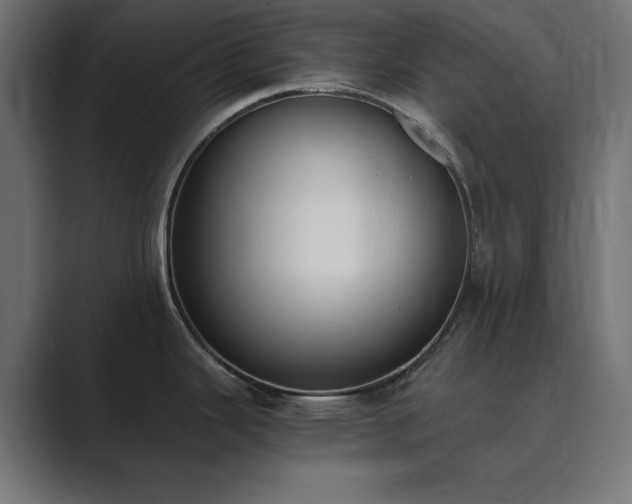 X0000089851343200706281244