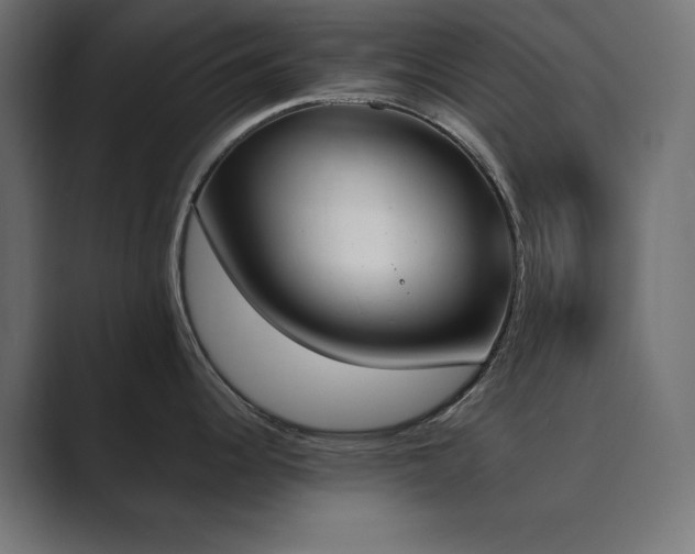 X0000089851344200706281244