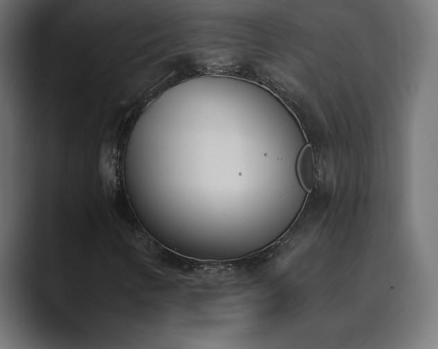 X0000089851346200706281244