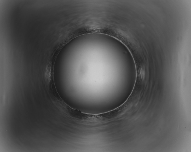 X0000089851348200706281244