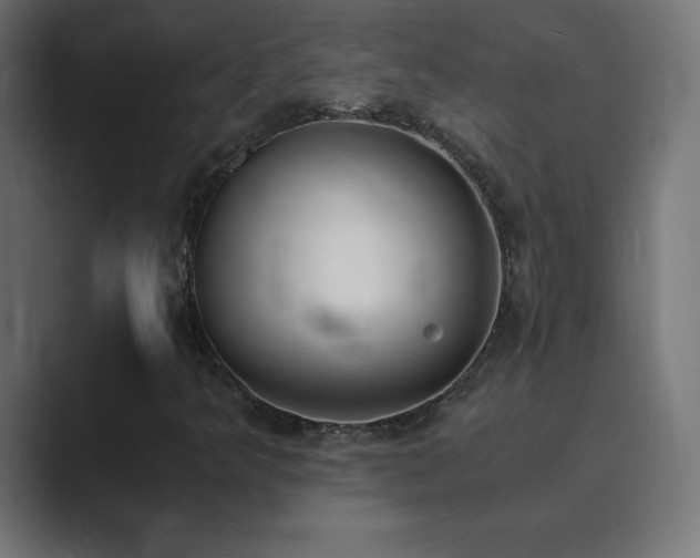 X0000089851349200706281244