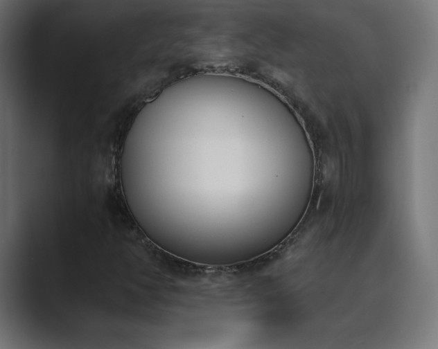 X0000089851350200706281244
