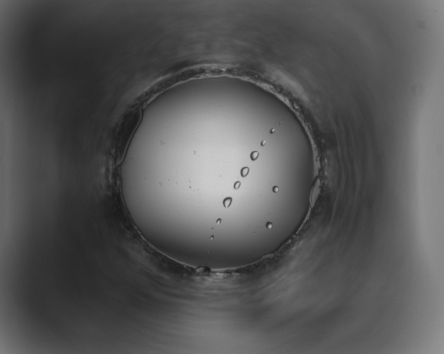 X0000089851352200706281244