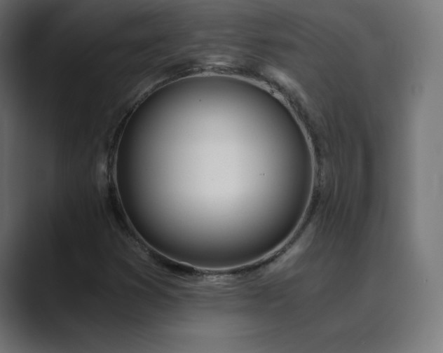 X0000089851353200706281244