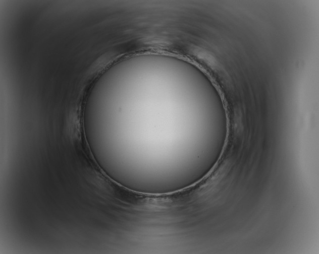 X0000089851354200706281244