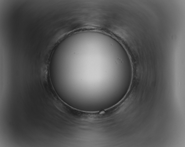 X0000089851355200706281244
