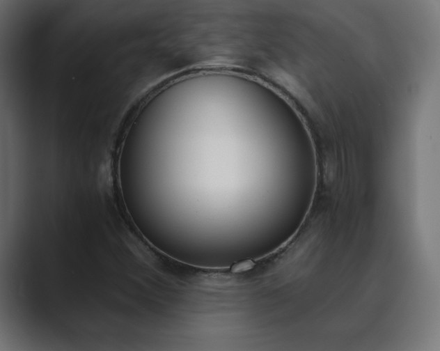 X0000089851356200706281244