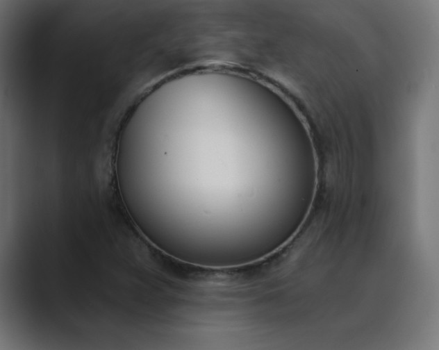 X0000089851359200706281244