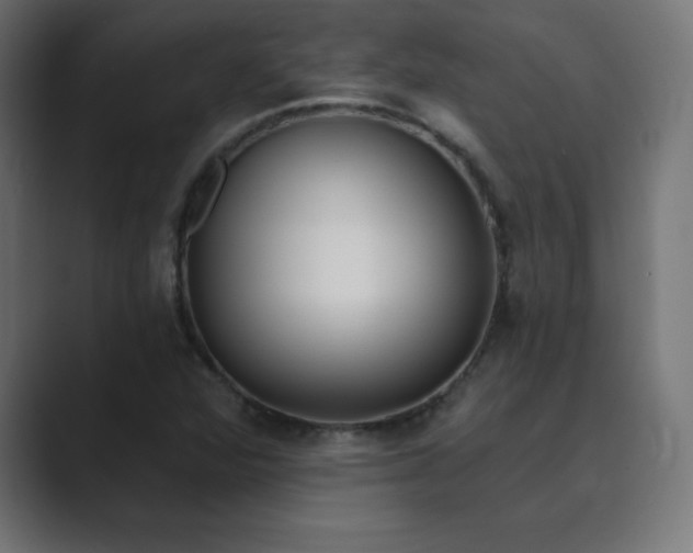 X0000089851360200706281244