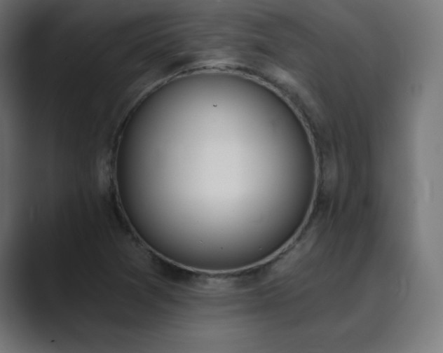X0000089851361200706281244