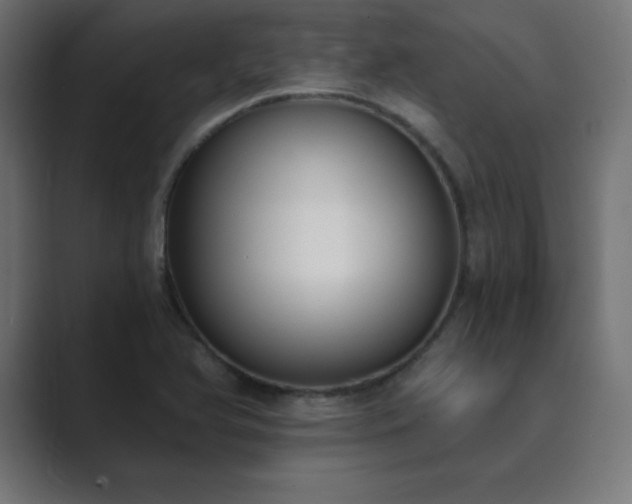X0000089851366200706281243