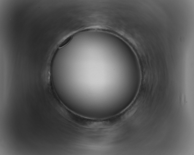 X0000089851367200706281243