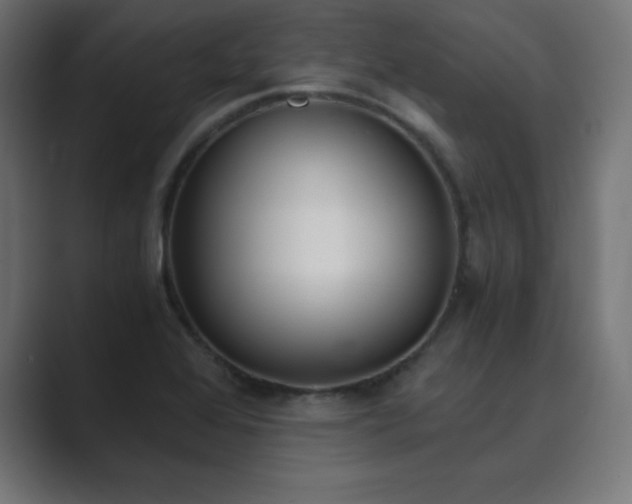 X0000089851368200706281243