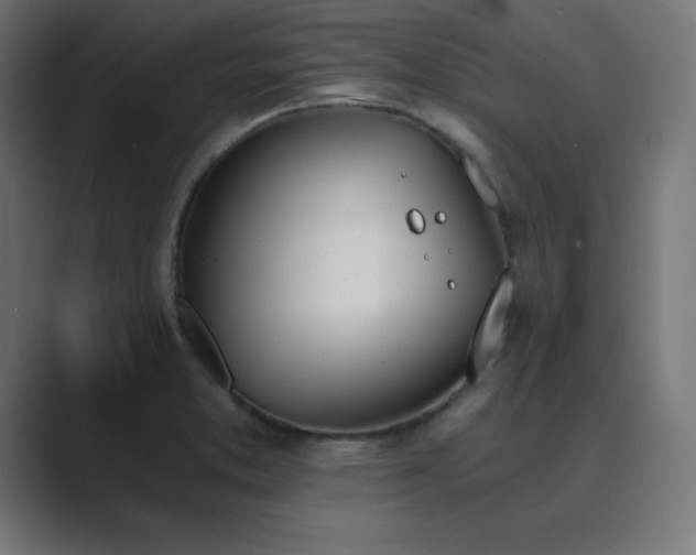 X0000089851373200706281243