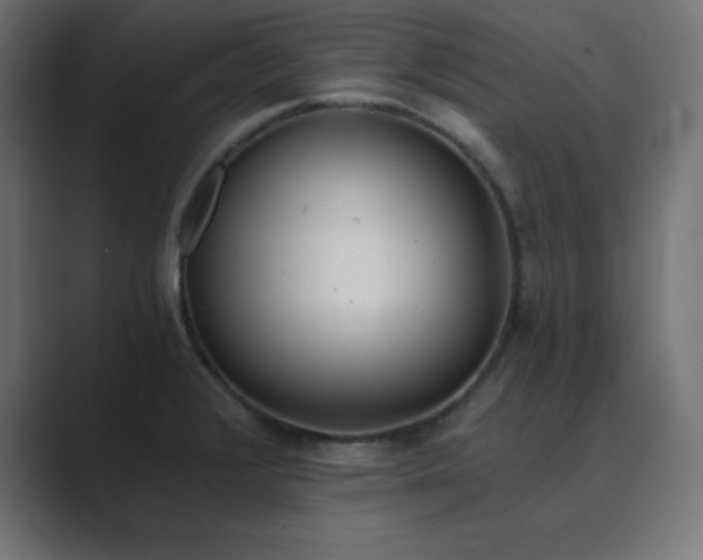 X0000089851376200706281243