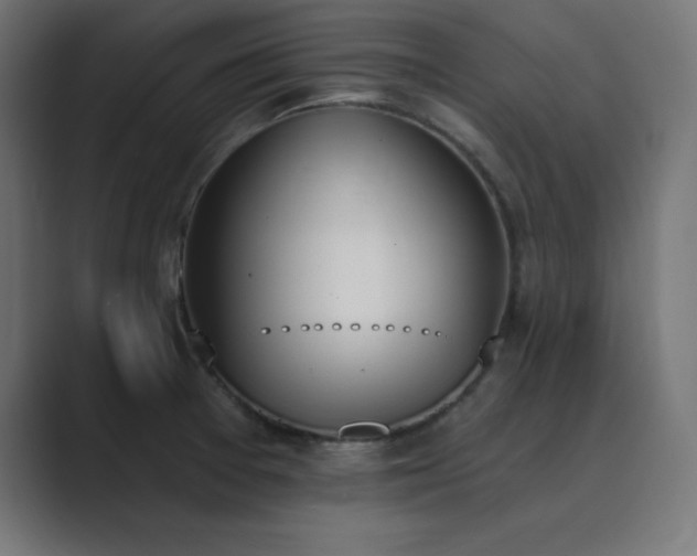 X0000089851377200706281243