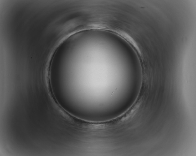 X0000089851381200706281243