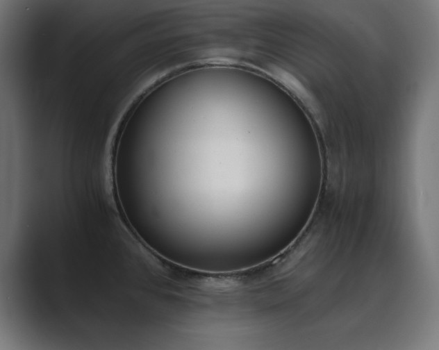 X0000089851384200706281243