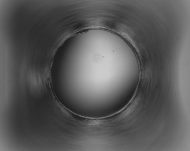 X0000089851385200706281243