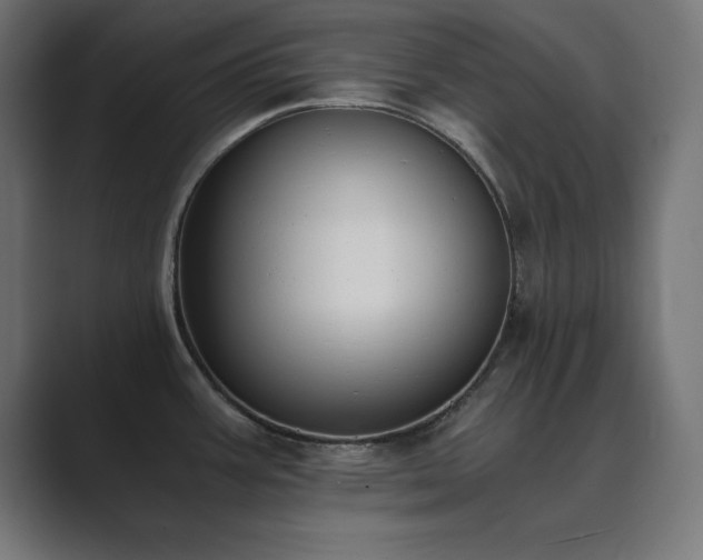 X0000089851387200706281243