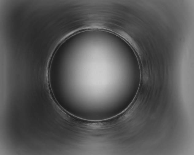 X0000089851388200706281243
