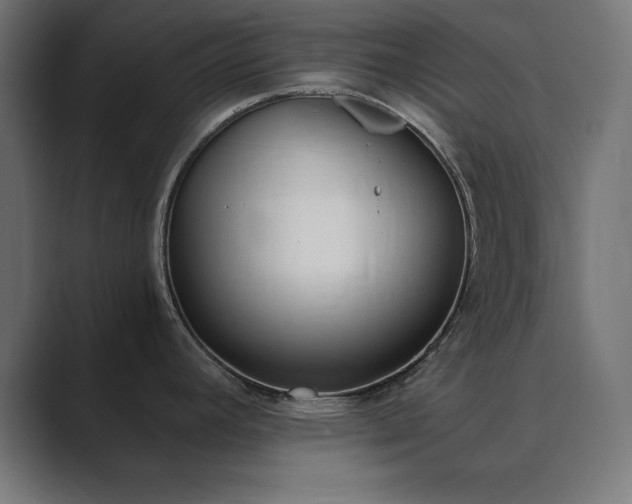X0000089851392200706281243