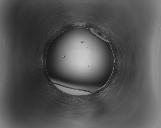 X0000089851394200706281243