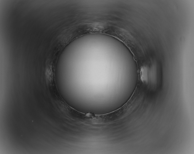 X0000089851395200706281243