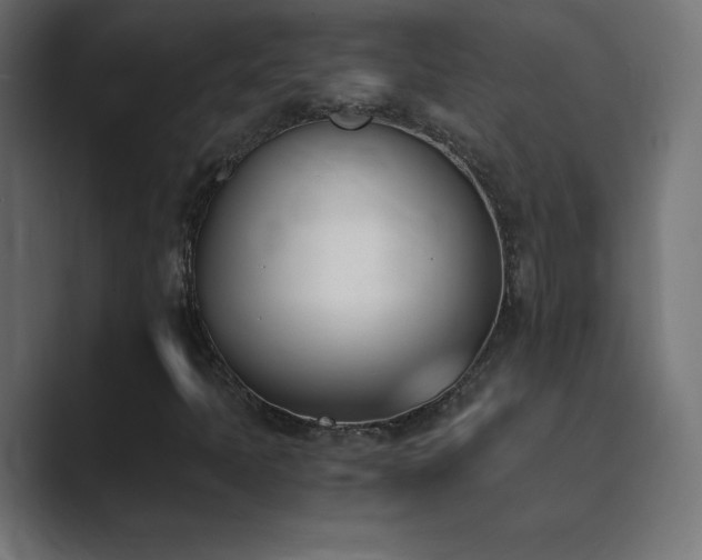 X0000089851397200706281243