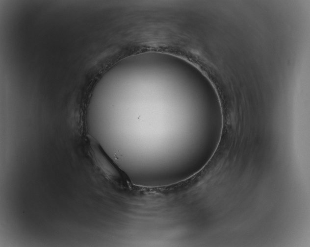 X0000089851398200706281243