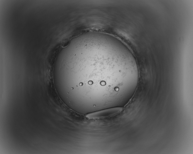 X0000089851399200706281243
