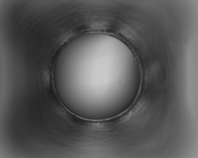 X0000089851401200706281243