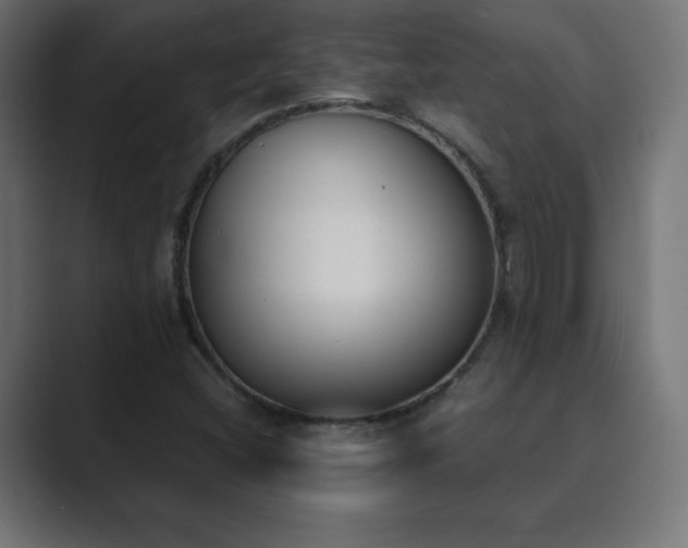 X0000089851404200706281243