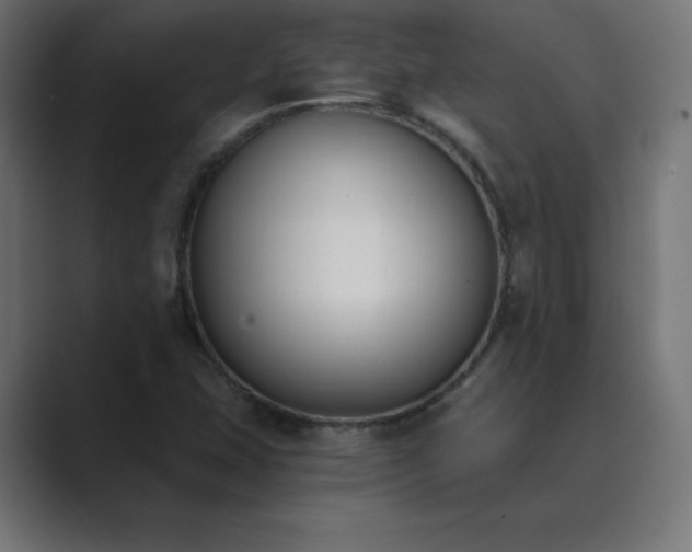 X0000089851407200706281243