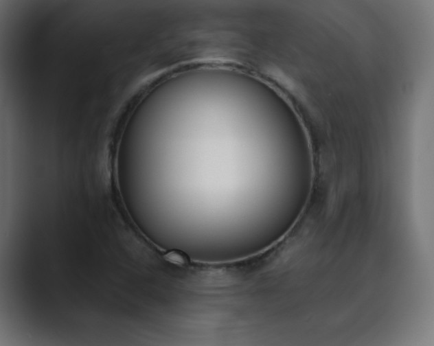 X0000089851408200706281243