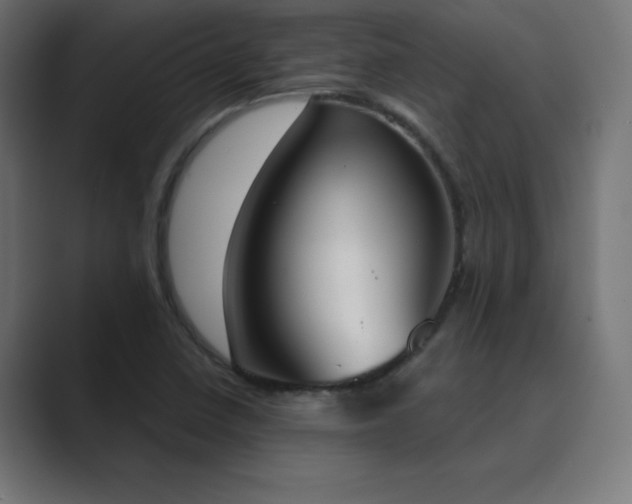 X0000089851410200706281243