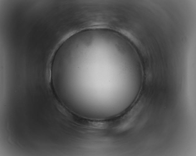 X0000089851413200706281243