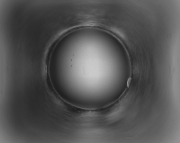 X0000089851414200706281243