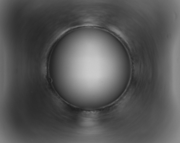 X0000089851415200706281243