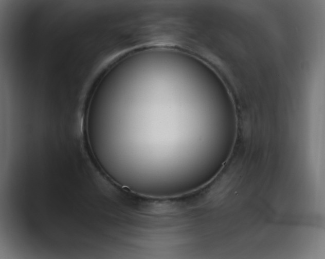 X0000089851416200706281243