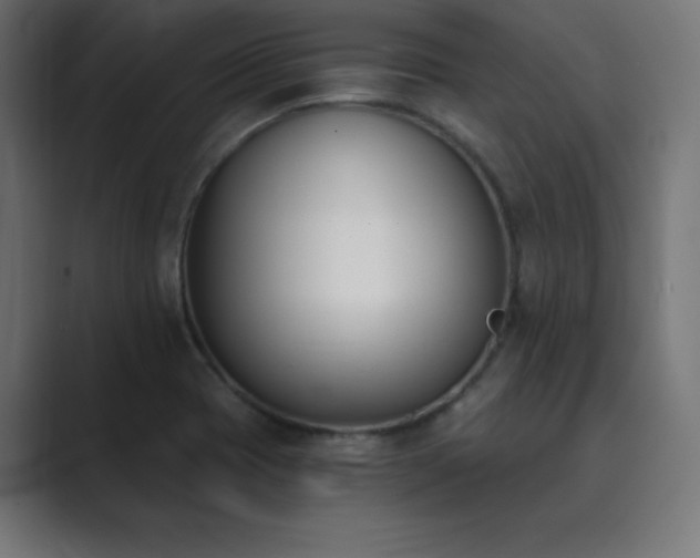 X0000089851417200706281243