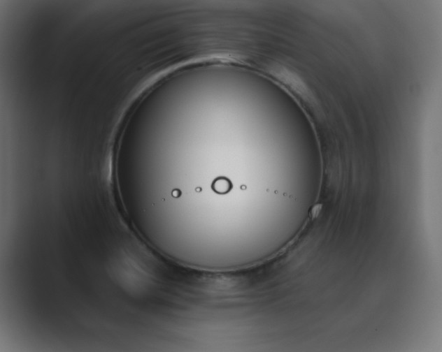 X0000089851420200706281243