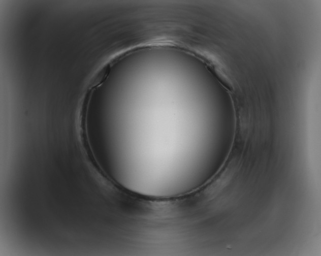 X0000089851422200706281243