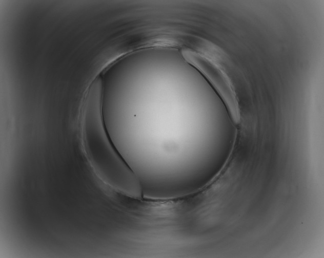 X0000089851426200706281243