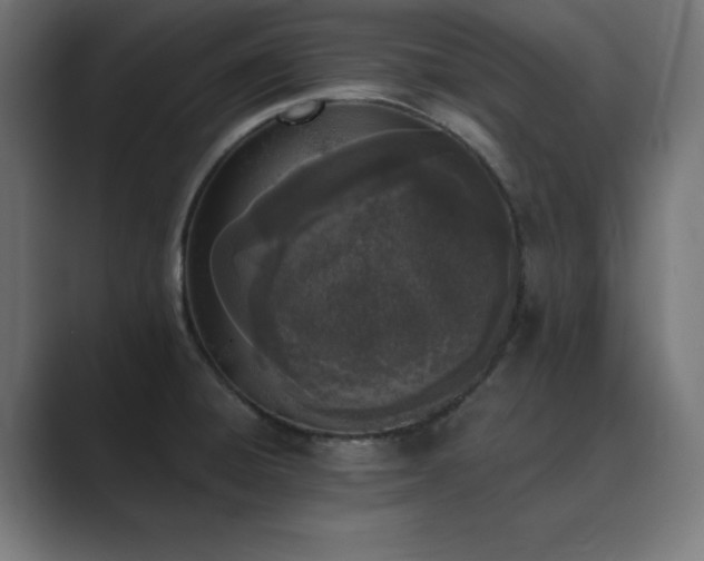 X0000089851428200706281243