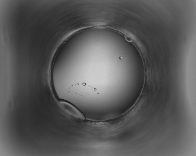X0000089851432200706281243